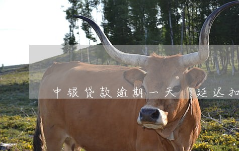 中银贷款逾期一天 延迟扣款 中银贷款逾期一天 延迟扣款